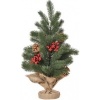 Afbeelding van HOMCOM Kerstboom PE, Cement, Jute Ø28 x 50H cm Groen