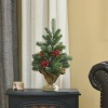 Afbeelding van HOMCOM Kerstboom PE, Cement, Jute Ø28 x 50H cm Groen