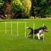 Afbeelding van PawHut Honden slalompalen voor behendigheidstraining met tas - Wit en blauw