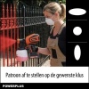 Afbeelding van Powerplus Verfpistool POWDP7058 Dual Power 20V