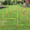 Afbeelding van PawHut 3-in-1 Hondenbehendigheidsset met draagtas voor huisdieren