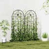 Afbeelding van Outsunny Metalen Rankgitter 50L x 1,3B x 120H cm - Zwart