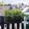 Afbeelding van Elho Greenville Easy Balkonbak 52 - 100% Gerecycled Plastic - Living zwart
