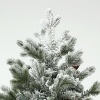 Afbeelding van HOMCOM Kunststof Kerstboom Ø60 x 100H cm Groen en Goud