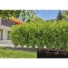 Afbeelding van GARDENA Micro-Drip systeem Complete bewateringsset 13 mm (1/2) Ø - 13500-20