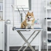 Afbeelding van PawHut Opvouwbare roestvrijstalen verzorgingsarm voor honden, hoogte verstelbaar tot 74 cm