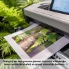Afbeelding van CF382AHP CF382A HP 312A – Toner – Geel – 2.700 pagina's – Compatible Color LaserJet Pro MFP M476dn M