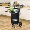 Afbeelding van Inklapbare boodschappentrolley met koelvak, 35L, multifunctioneel, zwart