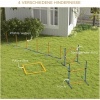 Afbeelding van PawHut Agility Set voor Honden, 4-delig met Verstelbare Hurdles en Accessoires