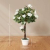 Afbeelding van Outsunny - Kunstplant - Kunststof - 18x18x90 cm - Wit
