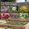 Afbeelding van Outsunny Rankhulp van ijzer 38L x 0,8B x 98H cm - Zwart