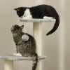 Afbeelding van PawHut Kratzboom 115,5 cm met kattenhuis, hangmat, speelbal en jute paal, lichtgrijs