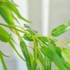 Afbeelding van Outsunny - Kunstplant met pot - Voor binnen en buiten - Groen