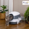 Afbeelding van PawHut Opvouwbaar Kattentoilet met Klapdeur en Dakraam, 52 x 41 x 38 cm, Grijs/Wit