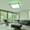 Afbeelding van RGB LED Paneel Deckenlamp met afstandsbediening, 24W, 1400lm, zwart, 45x7,1 cm
