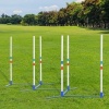 Afbeelding van PawHut Honden slalompalen voor behendigheidstraining met tas - Wit en blauw