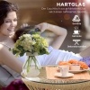 Afbeelding van Outsunny Rattan Bijzettafel van Metaal, Beige PE Rattan
