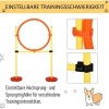 Afbeelding van PawHut 3-in-1 Hondenbehendigheidsset met draagtas voor huisdieren