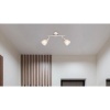 Afbeelding van GLOBO 54919-2N, Nikkel, Glas, Metaal, IP20, E14, LED verlichting