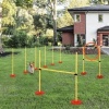 Afbeelding van PawHut 3-in-1 Hondenbehendigheidsset met draagtas voor huisdieren