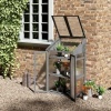 Afbeelding van Outsunny kas - grijs dennenhout en kunststof - 70L x 50B x 120H cm
