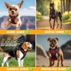 Afbeelding van Lovpet® Hondentuigje zonder trein en wurgen voor kleine honden en puppy's, ademend en zacht borsthar