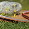 Afbeelding van GARDENA Flexibele slang - 20m - 13mm - 1/2 inch