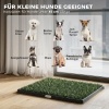 Afbeelding van PawHut Honden Toilet - Kunststof - 63 x 50,5 x 3,5 cm - Zwart