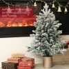 Afbeelding van HOMCOM Kunststof Kerstboom Ø60 x 100H cm Groen en Goud