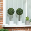 Afbeelding van HOMCOM Kunststof Kunstmatige Topiaries 10x10x45 cm Groen