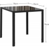 Afbeelding van HOMCOM Eettafel van staal met gehard glas 75x75x75 cm Zwart