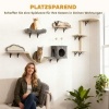 Afbeelding van PawHut Kattenset van polyester en spaanplaat, 50x40x84 cm, Beige