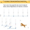 Afbeelding van PawHut Honden slalompalen voor behendigheidstraining met tas - Wit en blauw