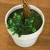 Afbeelding van HOMCOM Kunstplanten, set van 2 UV-bestendige kunstplanten, 60 cm buxusbomen, kamerplant in bloempot,