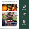 Afbeelding van Outsunny Kunststof en staal, groen - 200L x 100B x 80H cm - Kweek kas