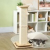 Afbeelding van PawHut 3-in-1 Krabpaal voor Kittens, 67 cm met Sisal, Trackball en Hangbal