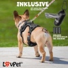 Afbeelding van Lovpet® Hondentuigje zonder trein en wurgen voor kleine honden en puppy's, ademend en zacht borsthar