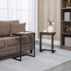 Afbeelding van HOMCOM Bijzettafelset met Stalen Frame 839-608V00