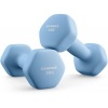 Afbeelding van Dumbbells – Neopreen coating – 2 x 3 kg – Lichtblauw