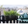 Afbeelding van Elho Greenville Easy Balkonbak 52 - 100% Gerecycled Plastic - Living zwart