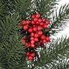 Afbeelding van HOMCOM Kerstkrans PE Ø60 x 8T cm Groen