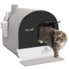 Afbeelding van PawHut XXL Kattentoilet met deksel, schep en uittrekbaar dienblad, grijs 43 x 44 x 47 cm