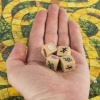 Afbeelding van Jumanji Het Spel - Avontuurlijk Bordspel