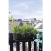 Afbeelding van Elho Greenville Easy Balkonbak 52 - 100% Gerecycled Plastic - Living zwart