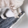 Afbeelding van PawHut Kattenbed met wandplank en pluchen bekleding, bruin MDF