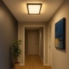Afbeelding van Briloner Leuchten - LED-plafondlamp met backlight-effect, 22 Watt, 3000 lumen, wit-zwart