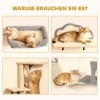 Afbeelding van PawHut Kattenset van polyester en spaanplaat, 50x40x84 cm, Beige