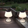 Afbeelding van Solar tafellamp voor buiten, IP44 waterdicht, RVS wit, 10x LED warm wit, 19,5x28 cm