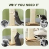 Afbeelding van PawHut 3-in-1 Krabpaal voor Kittens, 67 cm met Sisal, Trackball en Hangbal