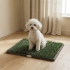 Afbeelding van PawHut Honden Toilet - Kunststof - 63 x 50,5 x 3,5 cm - Zwart